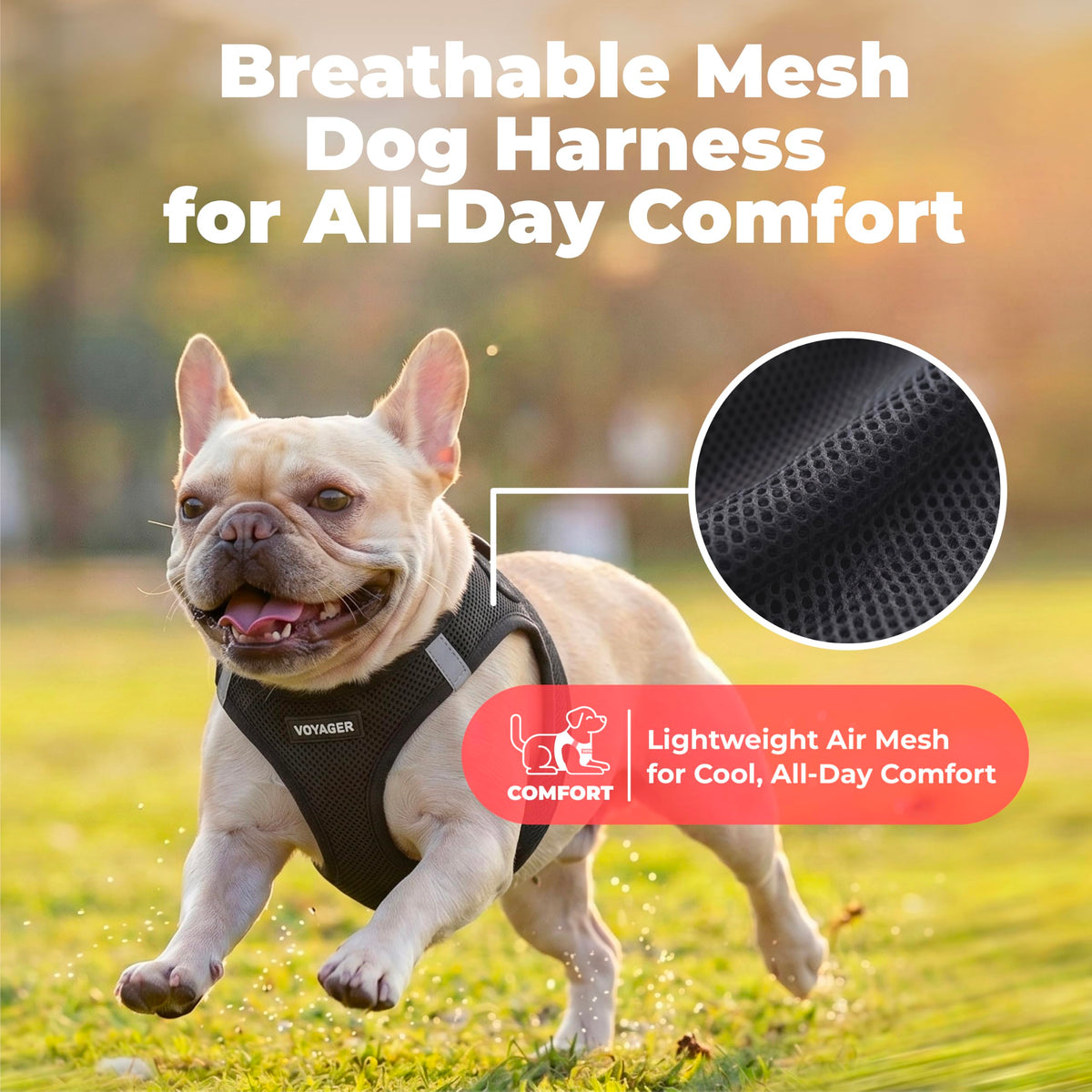 Voyager Step in Air Dog Vest Harness (Black / XL (Chest: 20.5 - 23"))