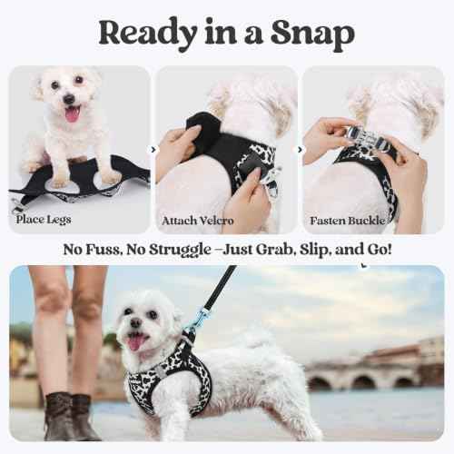 Dog Harness Small Sized and Leash Set (Black White Cow / Xs (chest: 13.3 - 15.5"))