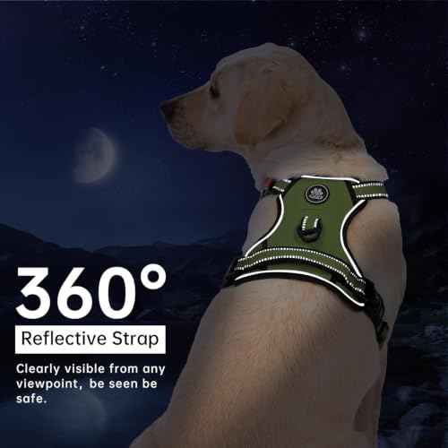 No Pull Dog Harness for Medium Dogs (Olive Green / Medium)