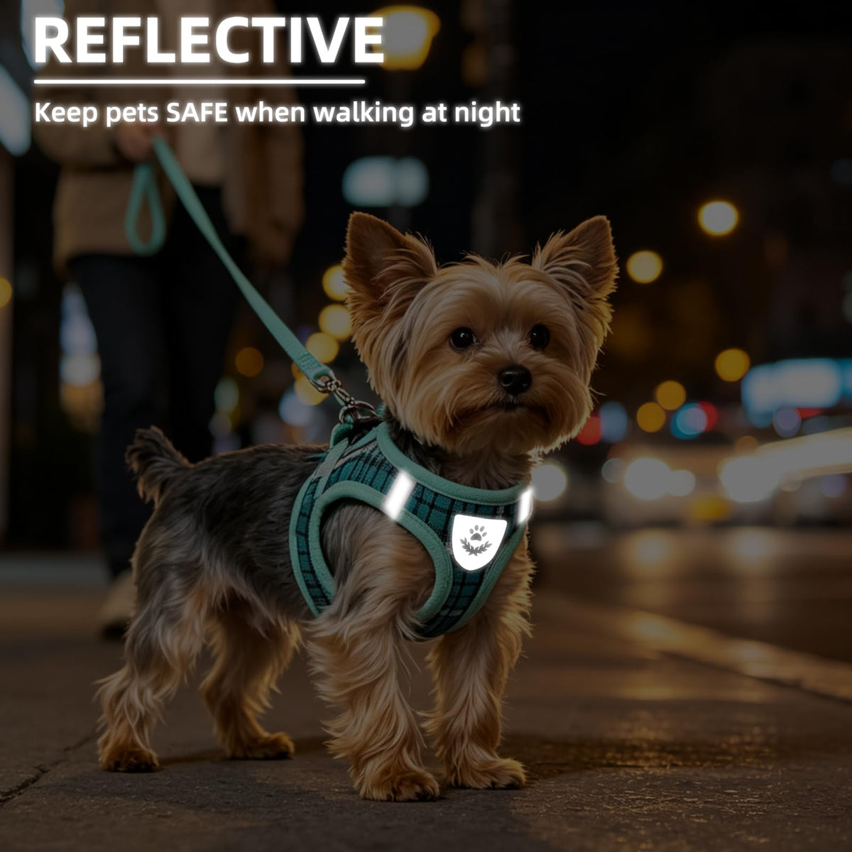 Dog Harness Collar and Leash Set No Pull for Small Medium Sized (Lake Green / S (CHEST 14.5"-16"))