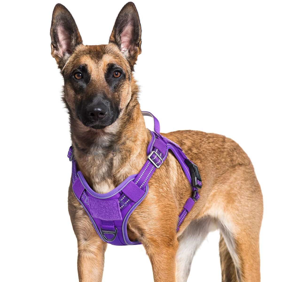 Tactical Dog Harness for Large Dogs (Xl(chest:23.6"-41.8",neck:21.7"-32.3",back:9.1") / Purple)