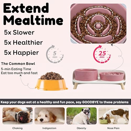 Elevated Slow Feeder Dog Bowls with Splash Proof Stand (Medium / Pink)