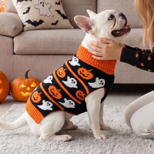 Dog Halloween Sweater for Small Dogs Knit Pet Outfit with Pumpkin (Medium (7-11lbs) / 01#Halloween pumpkin)
