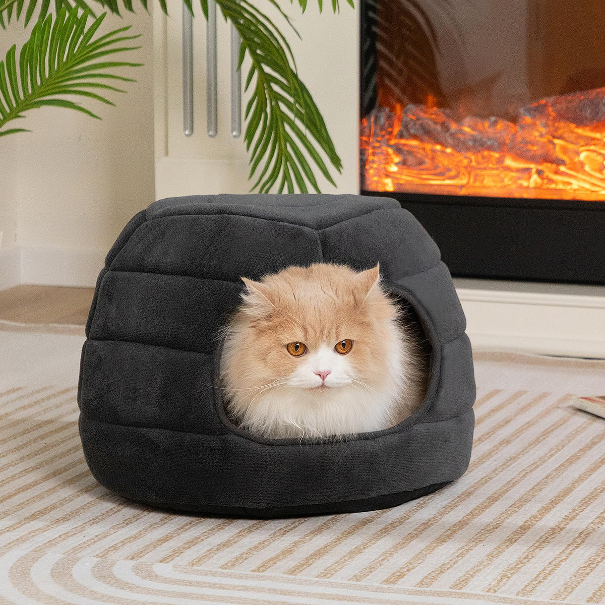 Cat Bed Cave for Indoor Cats for Pets up to 15 lbs (Gray Igloo)