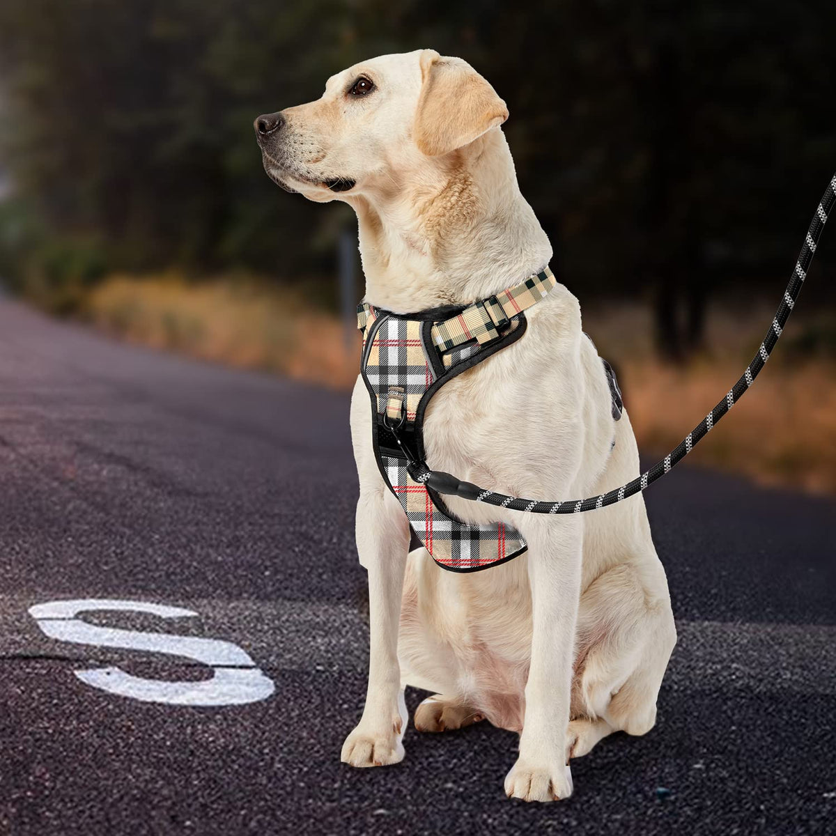 No Pull Dog Harness for Large Dogs (Checkered Beige / Large)