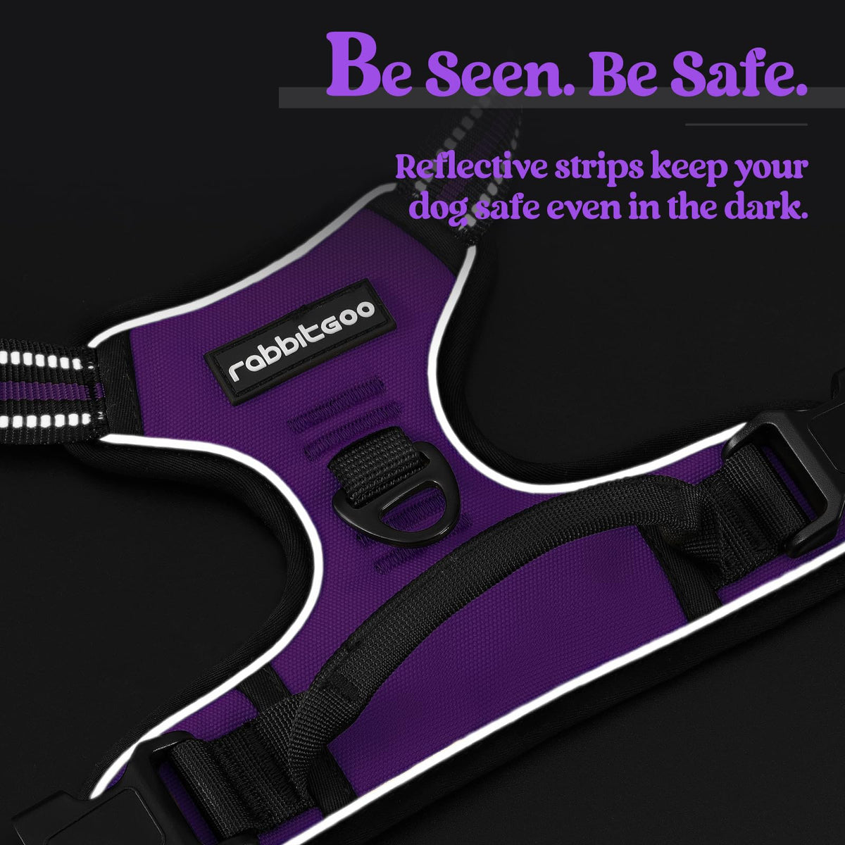 Dog Harness No Pull for Small Dogs with 2 Leash Clips (Small / Purple)