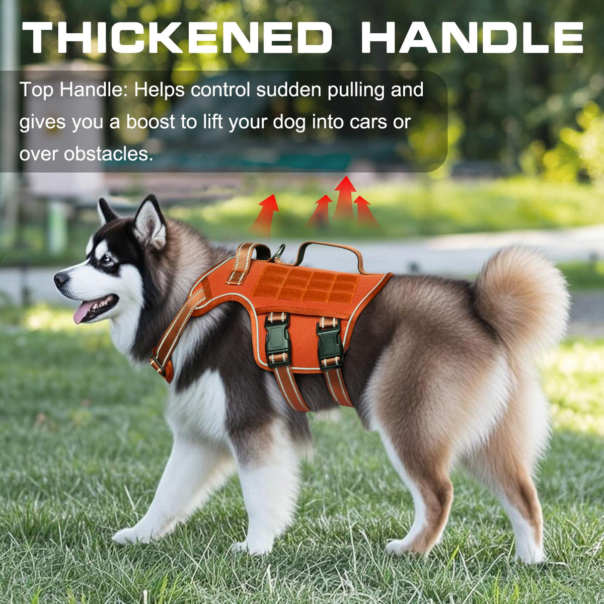 Dog Harness for Large Dogs (Orange / L(Neck:18-24",Chest:25-36"),45-80 lbs)