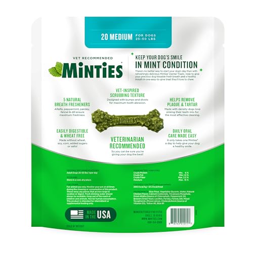 Mint Dental Chews for Dogs (Medium Dogs - 16oz)