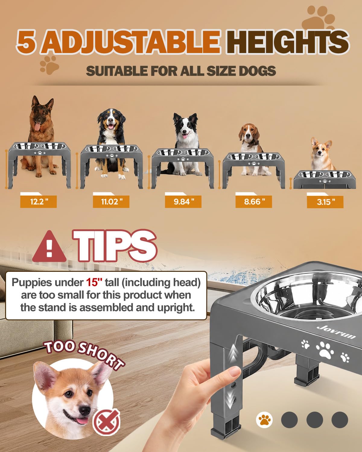 Elevated Dog Bowls for Medium Large Size Dogs (Grey / Medium Large)