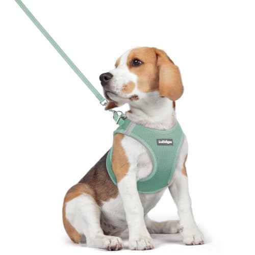 Dog Harness Medium Sized and Leash Set (Moss Green / L (chest: 18.2 - 20.5"))