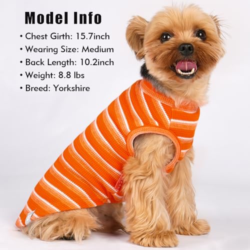 2Pack Waffle Dog Shirt for Small Dogs Striped Dog Sweater Tank Top (Small (4-7lbs) / 2Pack(orange+Striped))