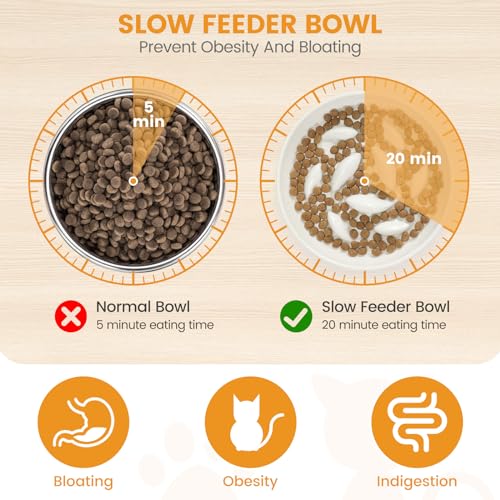 Slow Feeder Cat Bowl Elevated Ceramic with Bamboo Stand (White Fish)