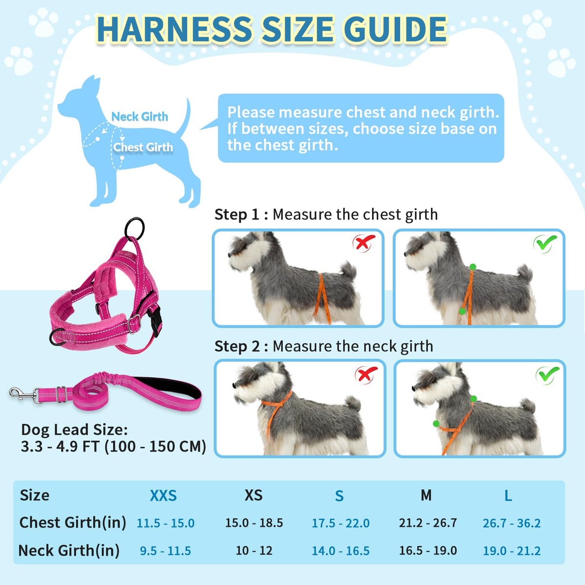 No Pull Small Dog Harness and Leash Set with Front Clip (X-Small / Fuchsia)