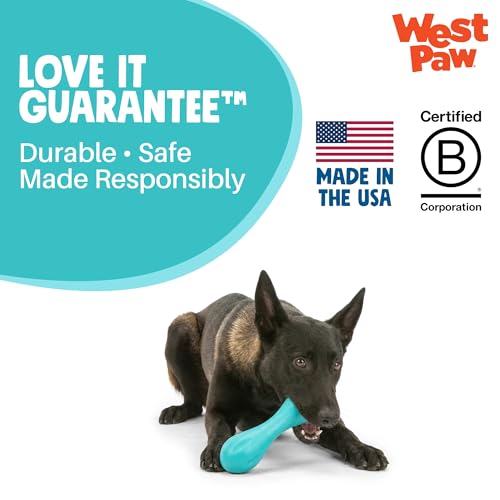 Zogoflex Hurley Dog Bone Chew Toy (Small / Geranium)
