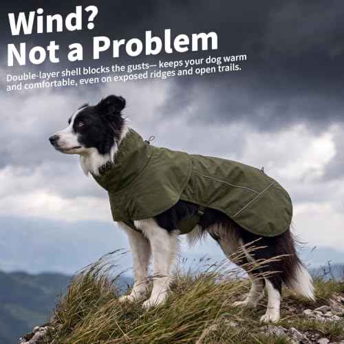 Dog Raincoat Full Body Coverage Waterproof Windproof Hooded Jacket (Green / Large)