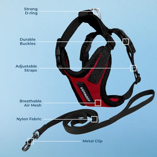 Voyager Step in Lock Cat Harness & Leash Set (Red/Black Trim / XXS (Chest: 11.5 - 14"))