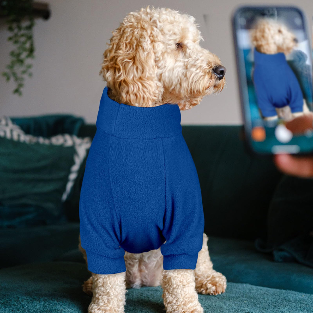 3 Pack Dog Sweaters for Small Dogs (S / Gray Royal Blue Navy)