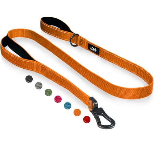 6FT 1IN Heavy Duty Dog Leash for Large Dogs with 2 Padded Handles (Orange / 1 in x 6 ft)