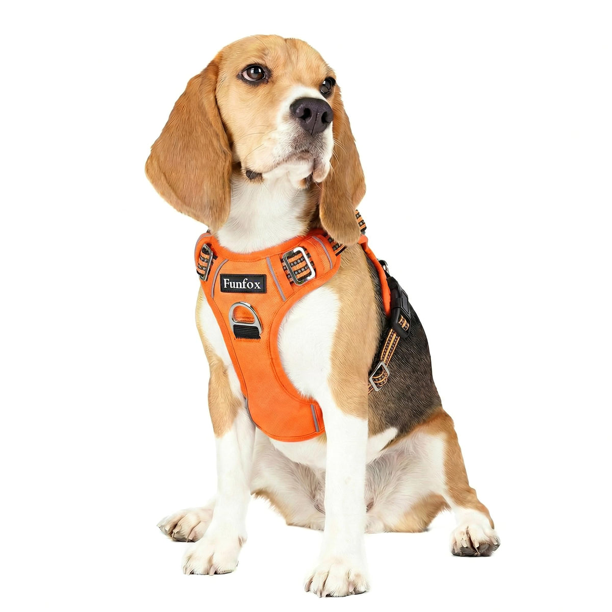 Dog Harness Medium Sized Dog (Orange / Medium)
