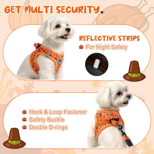 Small Dog Harness and Leash Set (Medium(Chest Girth 16" - 18") / Autumn)
