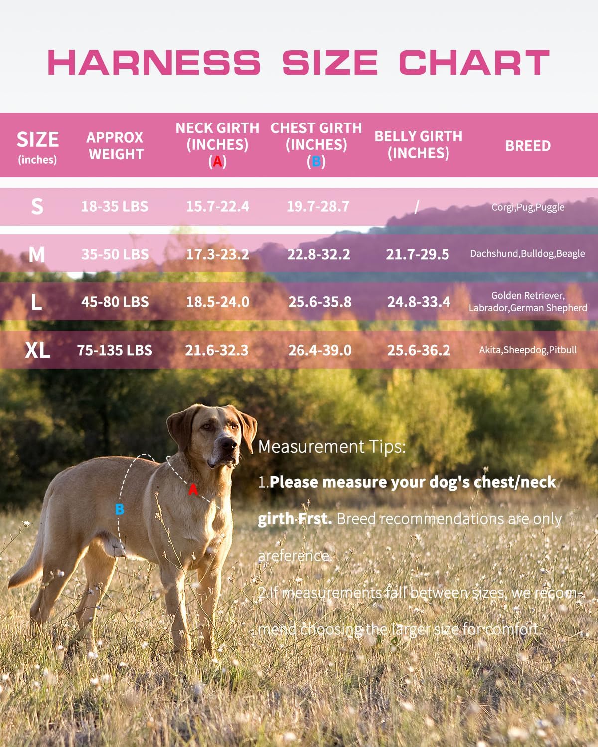 Dog Harness Tactical No Pull for Small Sized Dog with Handle (Pink Camo / S(Neck:16-22",Chest:20-28"),18-35 lbs)