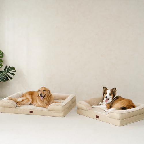 Orthopedic XXL Dog Bed (Graige / 46.0"l X 35.0"w X 7.5"th)