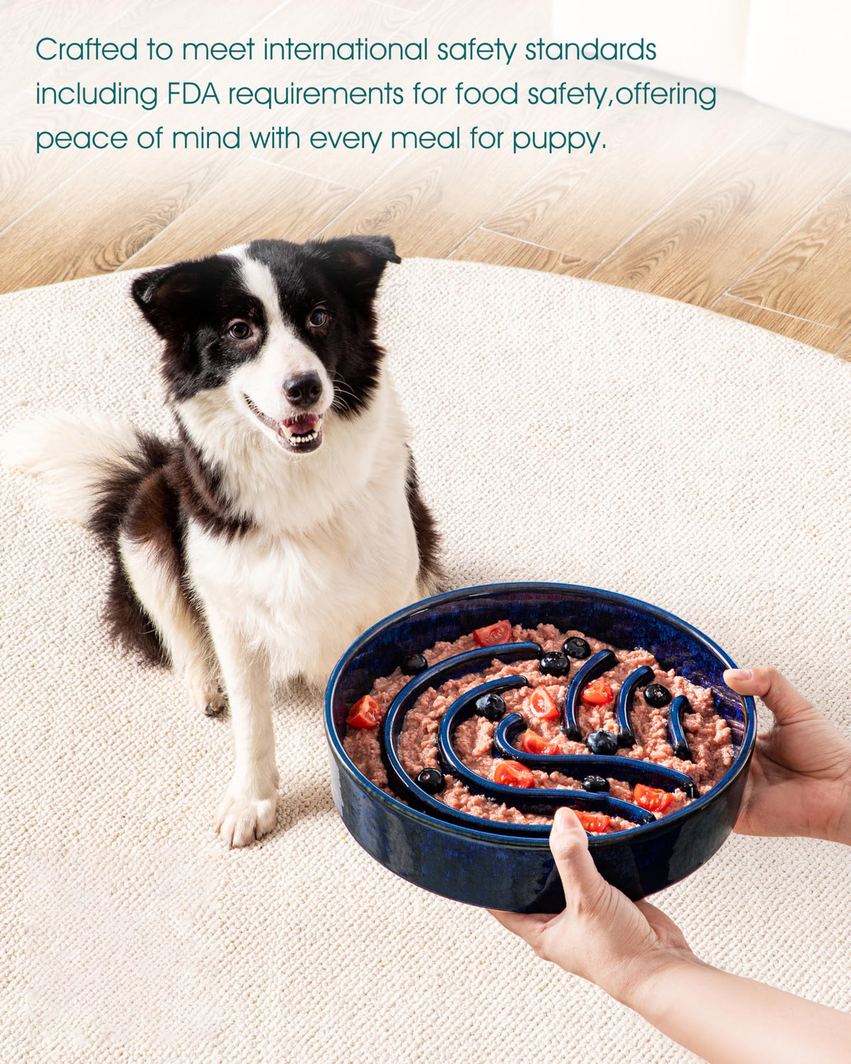 Slow Feeder Dog Bowl (Blue / 3 Cups)