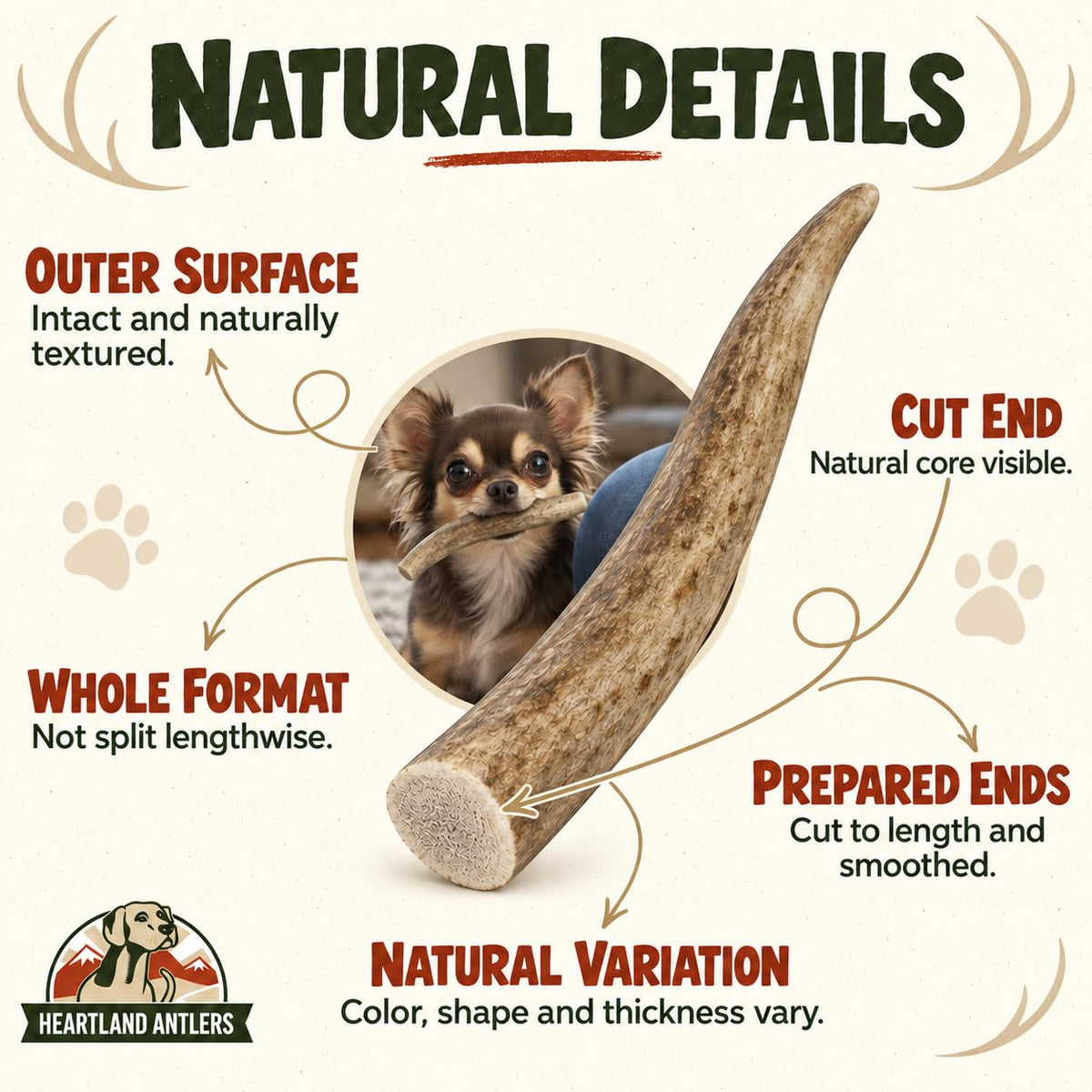 Deer Antler Dog Chew (Small 2-pack (Dogs 5-25 lbs))
