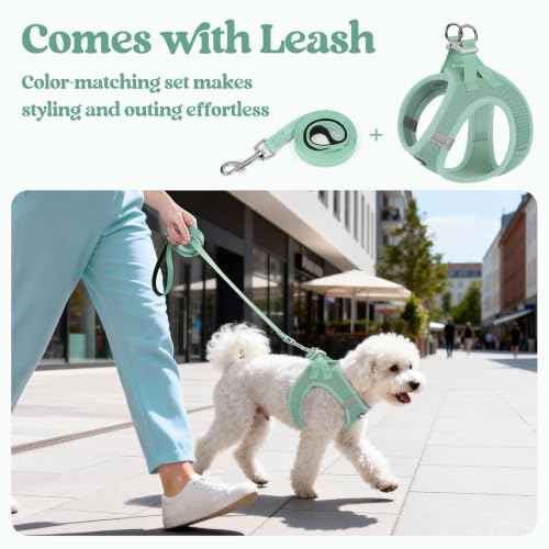 Dog Harness Medium Sized and Leash Set (Moss Green / M (chest: 16 - 18.5"))