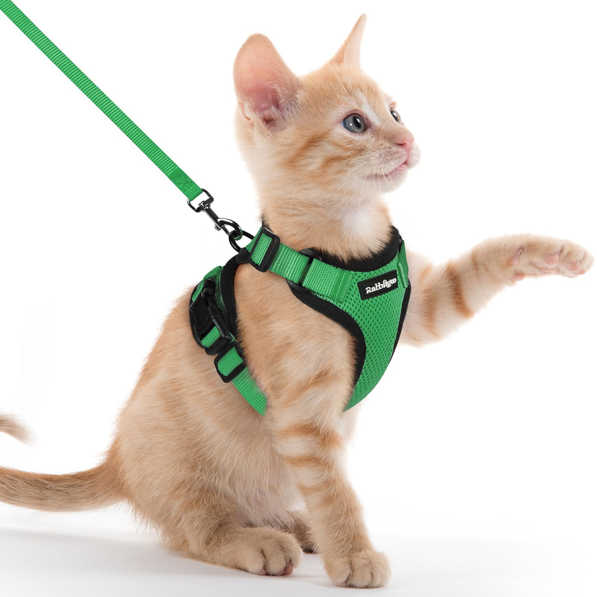 Cat Harness and Leash Set (Xxs / Grass Green)