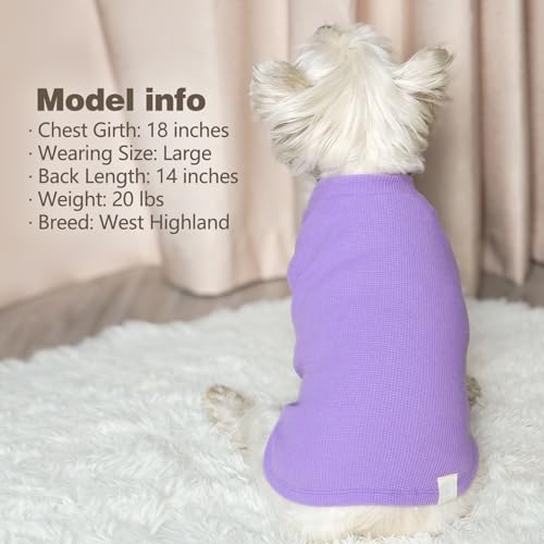 2Pack Waffle Dog Shirt for Small Dogs Soft Dog Sweater Tank Top (Medium (7-11lbs) / 2Pack(Purple+Grey))