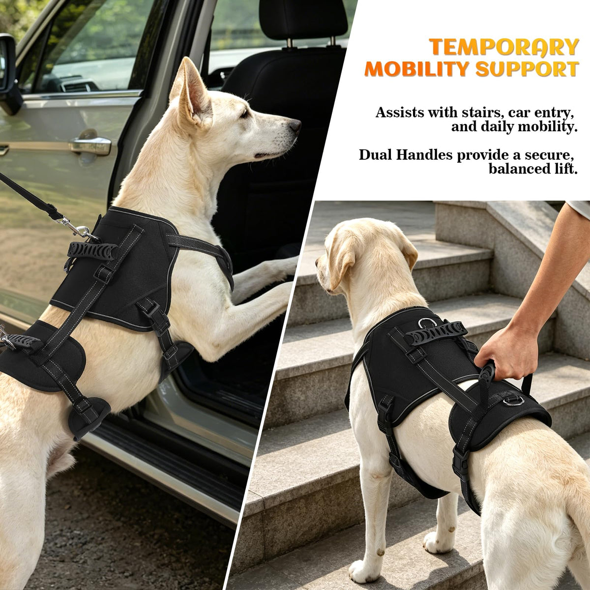 Dog Lift Harness (Black-2 / X-Large)