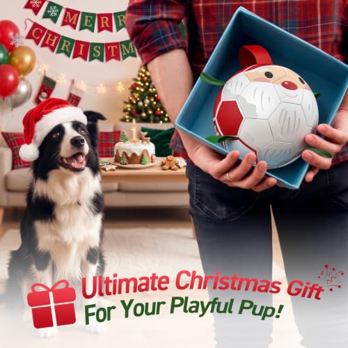 Christmas Dog Balls with Straps (Christmas 1 / 6 Inch)