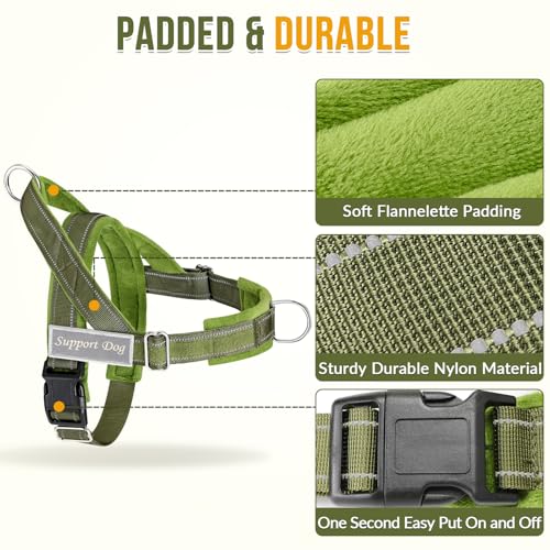 No Pull Dog Harness and Leash Set (Green / Small)