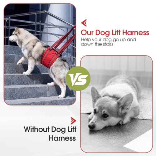 Dog Lift Harness (Fluorescent Green / M)