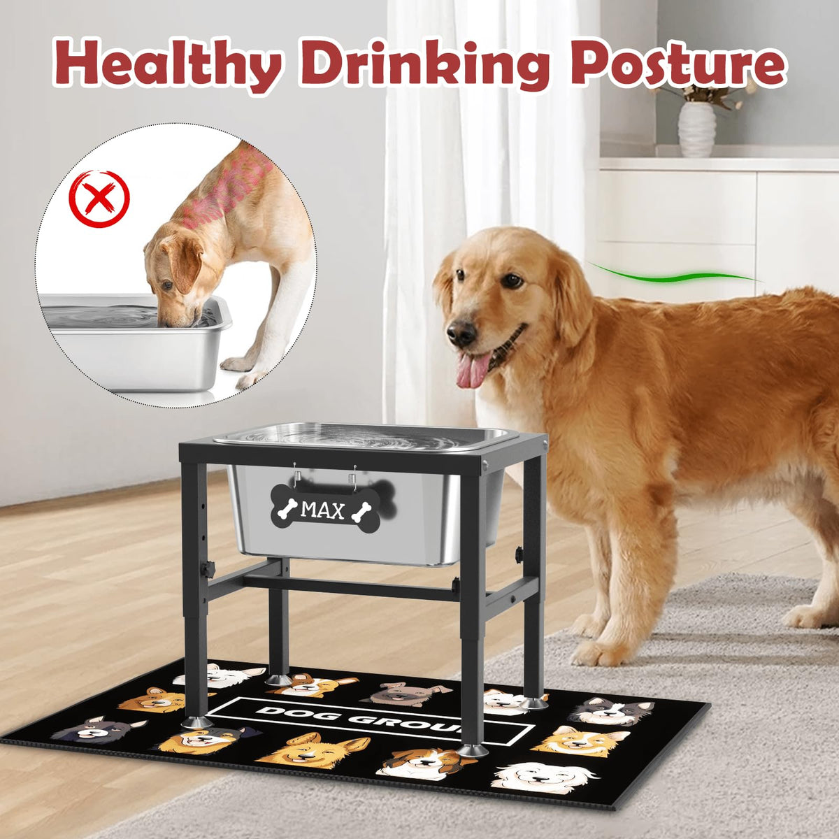 2.8 Gallon Elevated Large Dog Water Bowl (2.8 GAL Bowl / Height: 9.45-14.2")