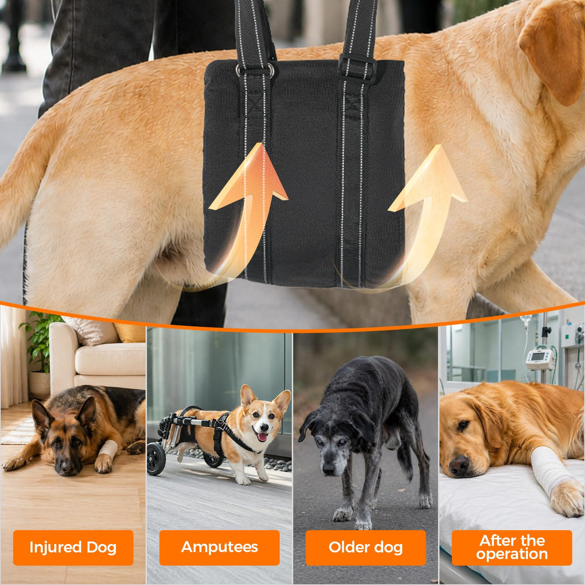 Adjustable Dog Sling for Large Dogs (Large)