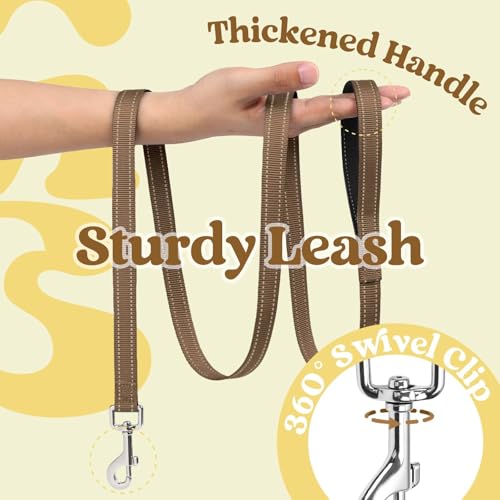 Dog Harness Small Sized and Leash Set (Beige & Coffee / XXS (Chest: 12.4"-14.2"))