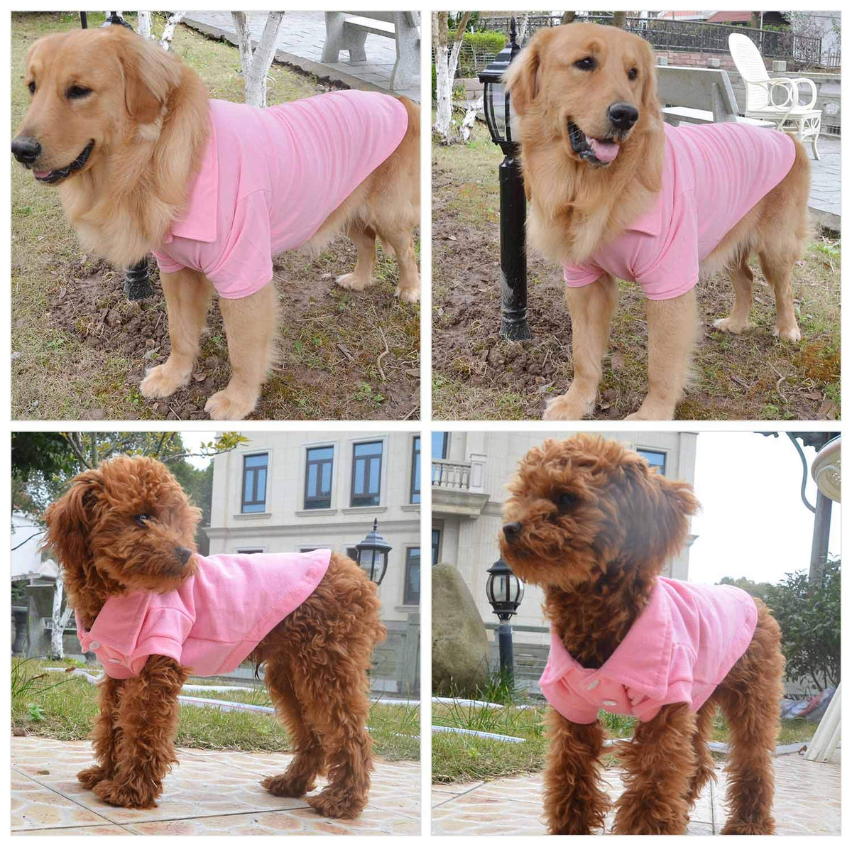 Basic Dog Polo Shirts Premium Cotton (M (-12lbs) / Pink)