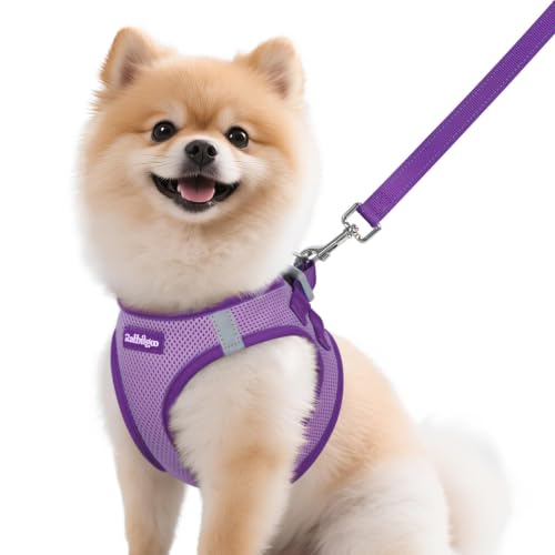 Dog Harness Small Sized and Leash Set (Light Purple & Purple / M (Chest: 16.0"-18.5"))