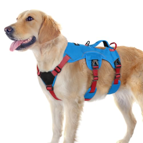 Escape Proof Dog Harness for Large (Red & Blue / Large)
