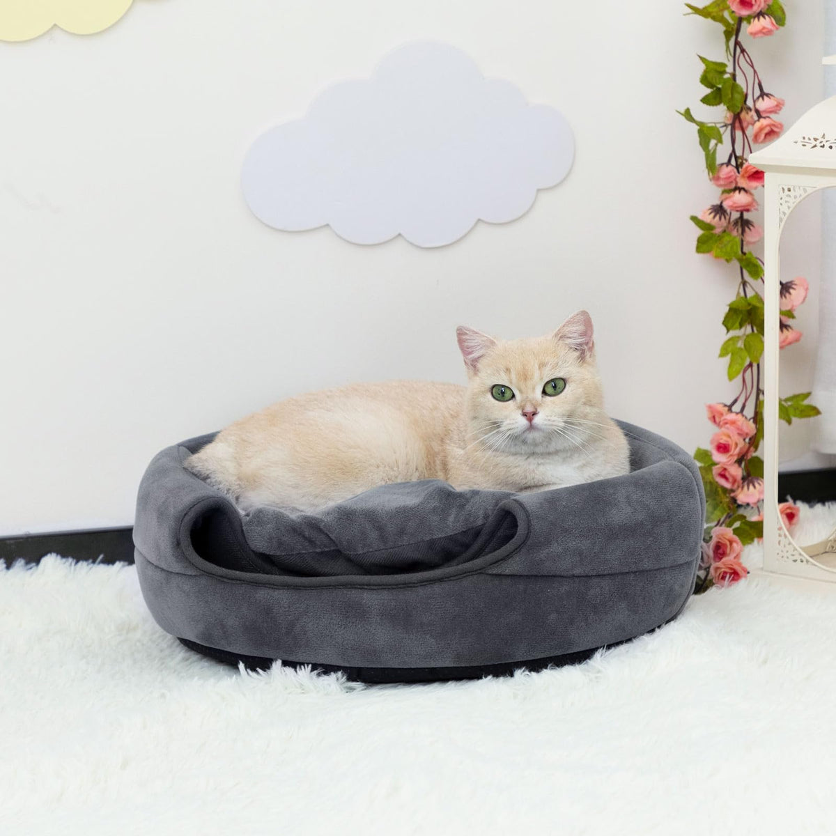 Cat Bed Cave for Indoor Cats for Pets up to 15 lbs (Dark Gray Igloo)