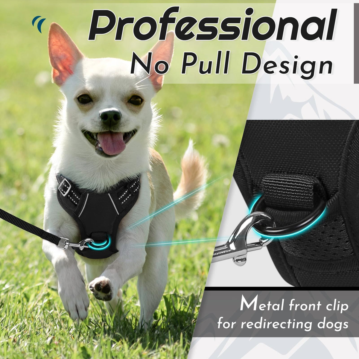 Dog Harness for Small Dogs (X-Small / Black)