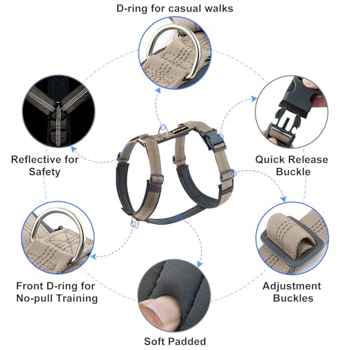 No Pull Dog Harness (M / Beige)
