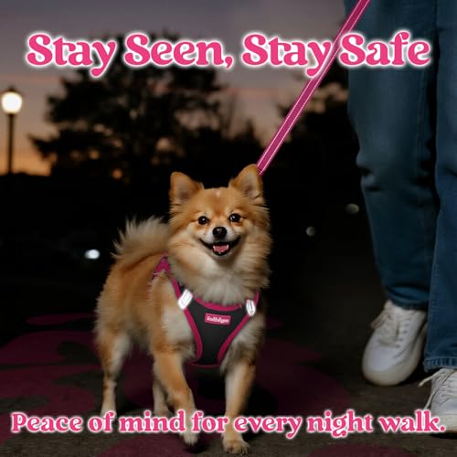Dog Harness Small Sized and Leash Set (Black & Rose Red / XXS (Chest: 12.4"-14.2"))