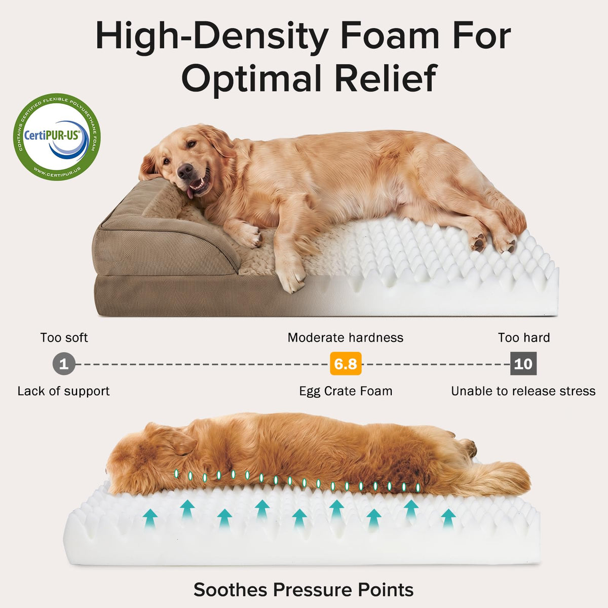 Orthopedic Extra Large Dog Bed (Brown / XXL (48"x 35"x 7.5"))