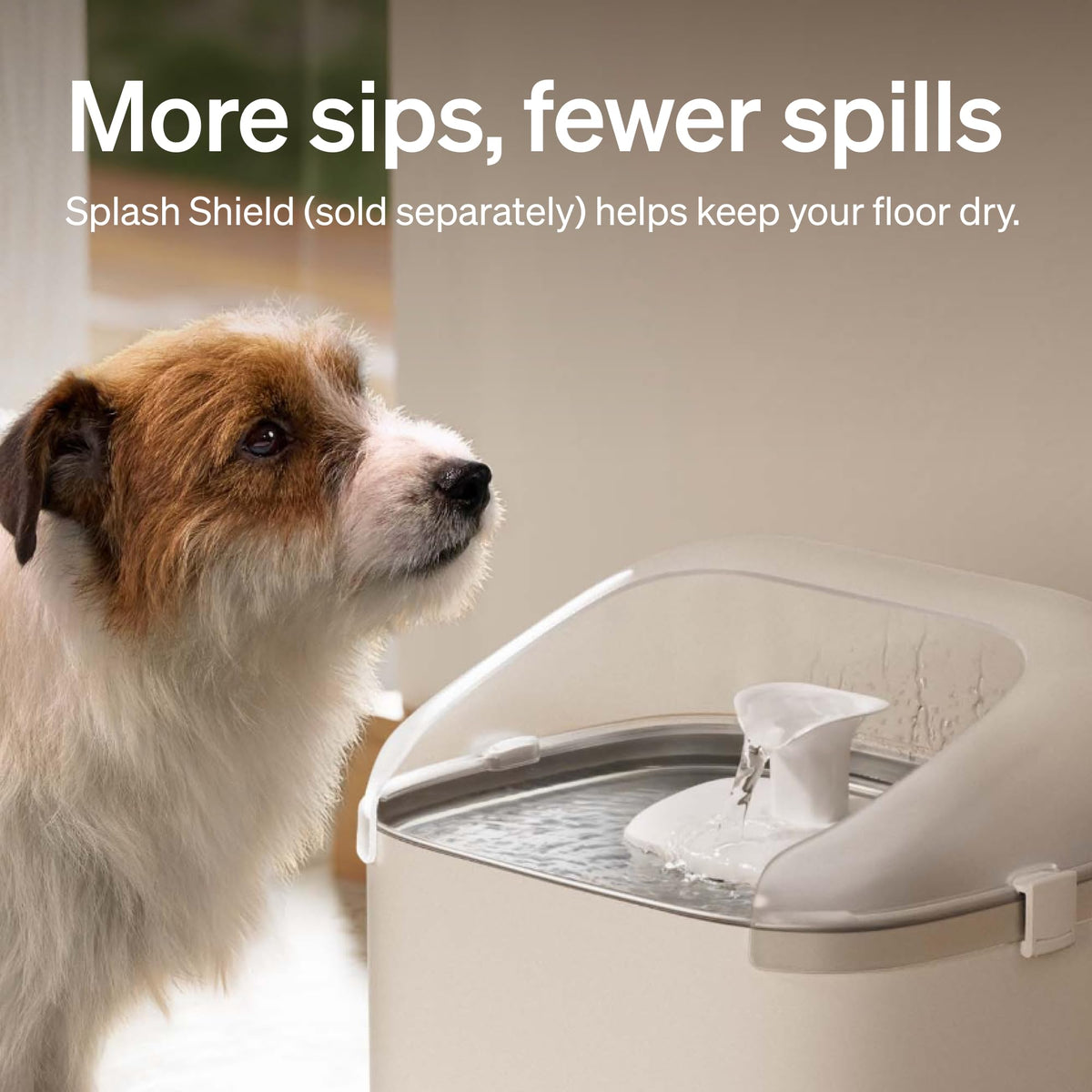 Quiet Dog Water Fountain Stainless Steel Tray (White / Fountain)