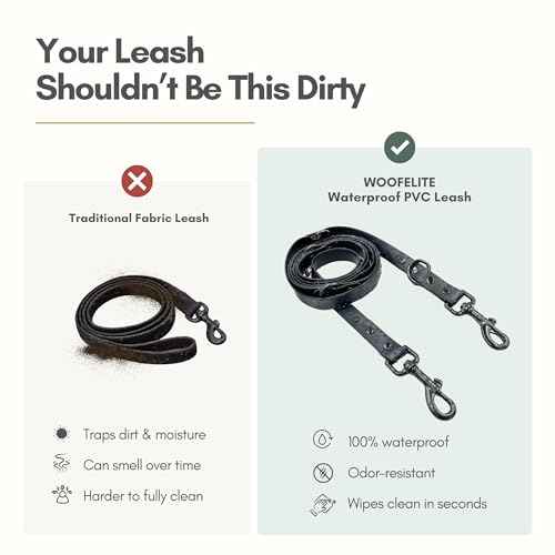 Hands Free Waterproof Dog Leash (Blue / 8 FT)