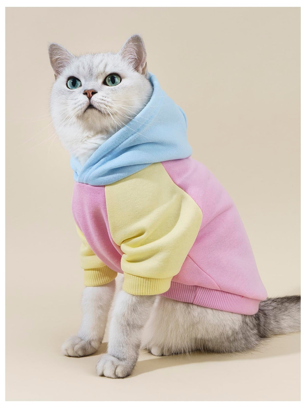 Basic Dog Hoodie Sweatshirt Puppy Sweater Warm Cat Costumes Pet Clothes for Chihuahua Puppy Kitten Small Medium Dogs Pink Large (Large / Pink)