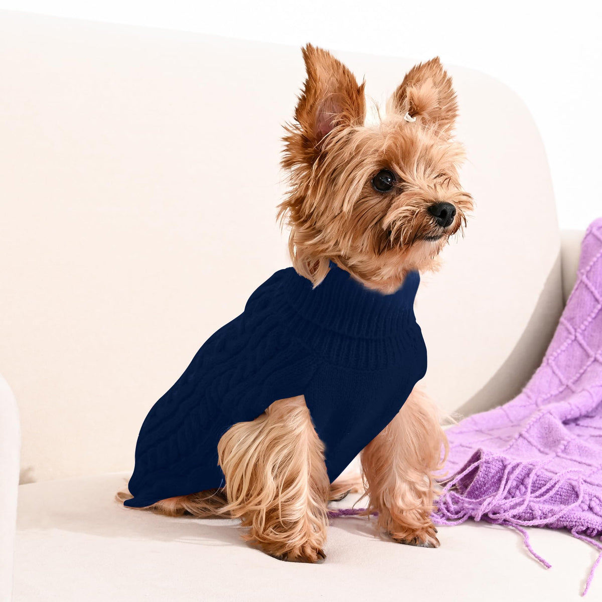 Dog Sweater 2 Pack for Small Dogs (Navy & Blue / Small)